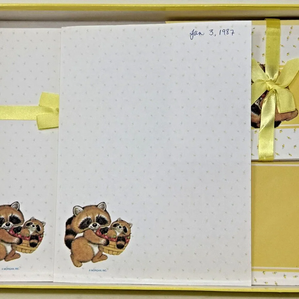 Montag Sittin Pretty Critter Sitters Stationery Raccoons Partial Box VTG 80s Lot
